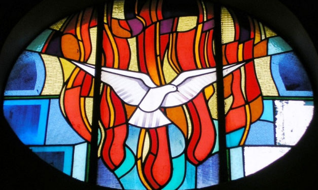 La joie de la sainteté !