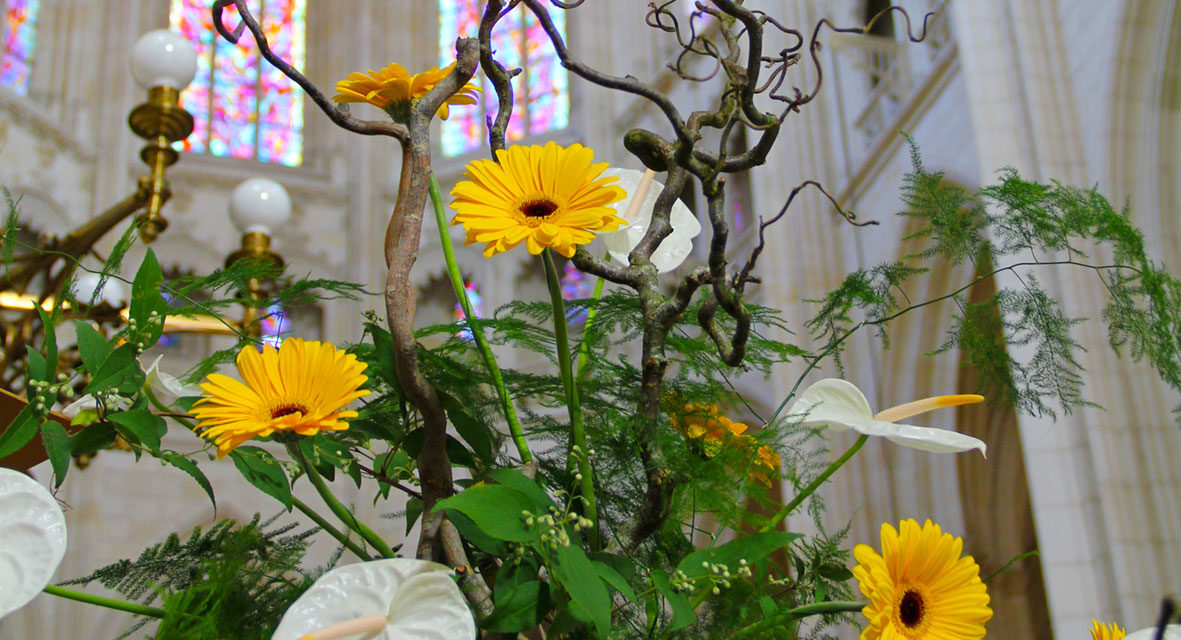 Parcours floral à la Cathédrale de Nantes