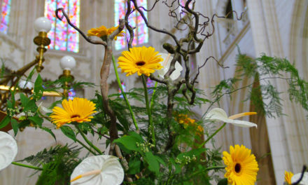 Parcours floral à la Cathédrale de Nantes