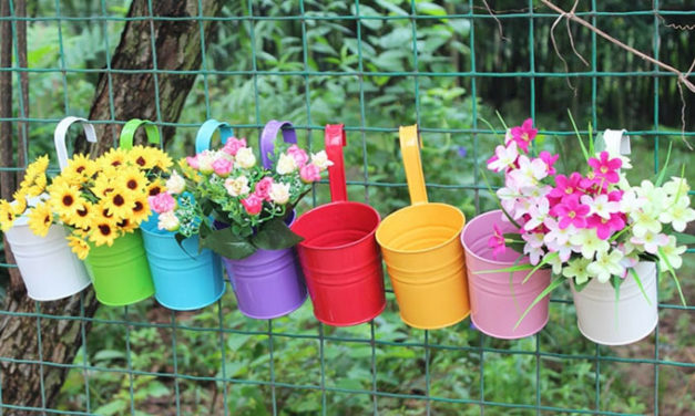 Retour sur la journée diocésaine de la Pastorale de la Santé