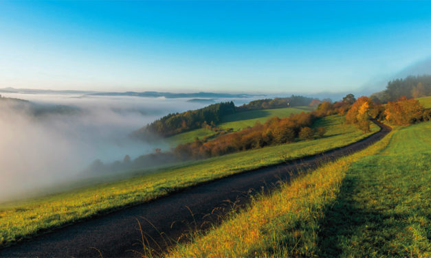 Enfin les vacances !