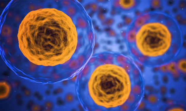 Un appel au discernement