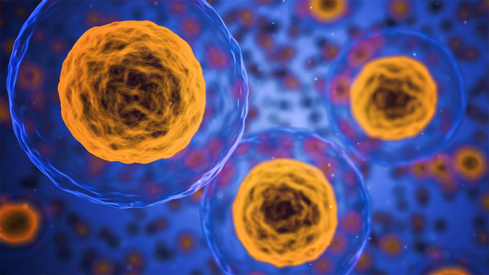 Un appel au discernement