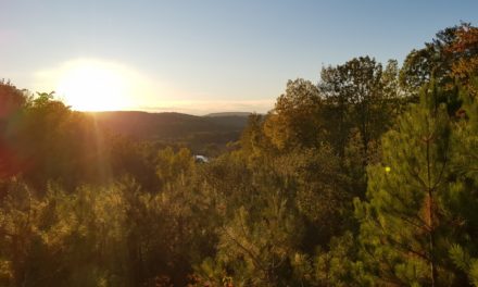 Carte postale du Canada !