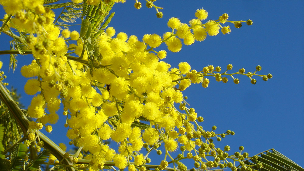 Une espérance active et joyeuse