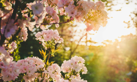 Confinée en Galilée