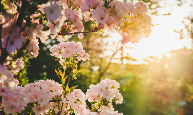 Confinée en Galilée