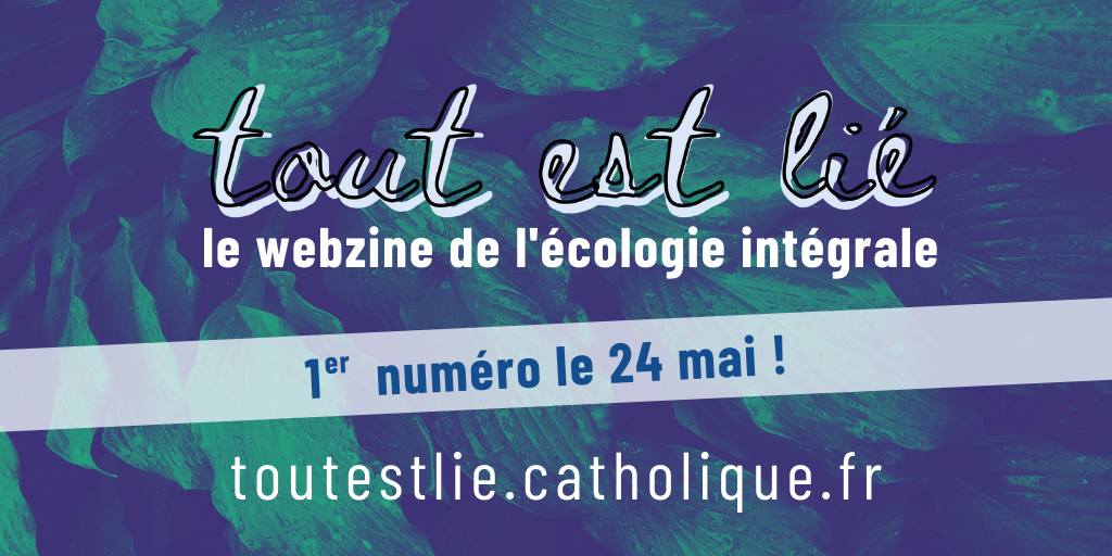 « Tout est lié »