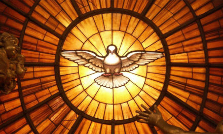 « Enfin libres ! »