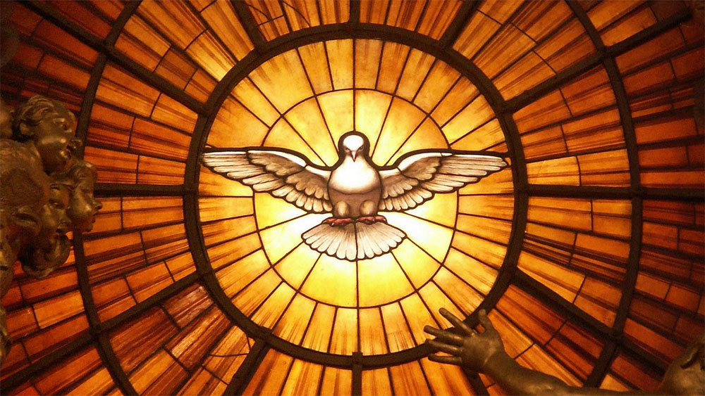 « Enfin libres ! »