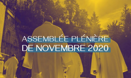 Assemblée plénière des évêques en visioconférence