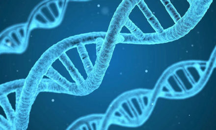 Projet de loi de bioéthique