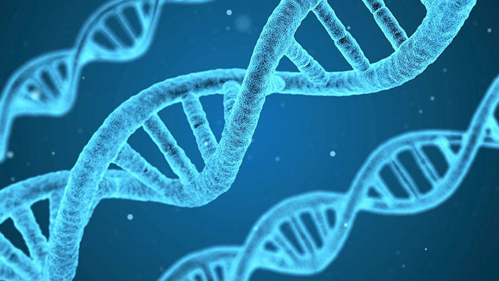 Projet de loi de bioéthique