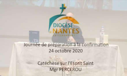 Catéchèse Mgr PERCEROU, journée de préparation à la confirmation