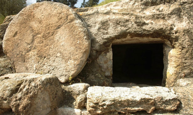 Éditorial de Mgr Laurent Percerou