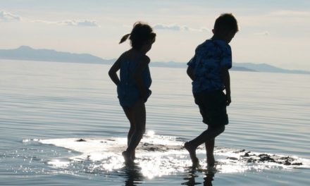 Seule la fraternité peut accueillir durablement la fragilité