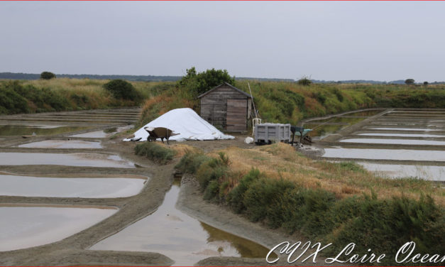 Les membres de CVX Loire Océan se retrouvent à Guérande