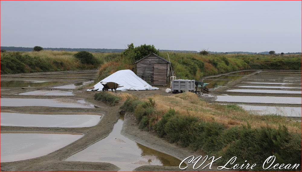 Les membres de CVX Loire Océan se retrouvent à Guérande