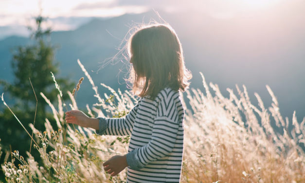 Éditorial de Mgr Laurent Percerou