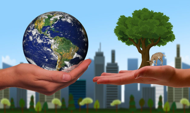 L&rsquo;écologie en catéchèse