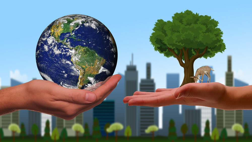 L&rsquo;écologie en catéchèse