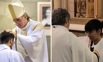 Les parcours vocation