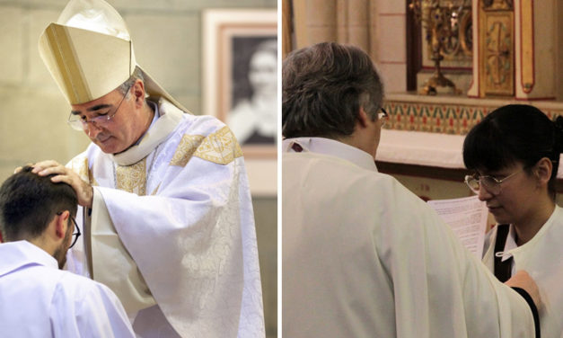 Les parcours vocation