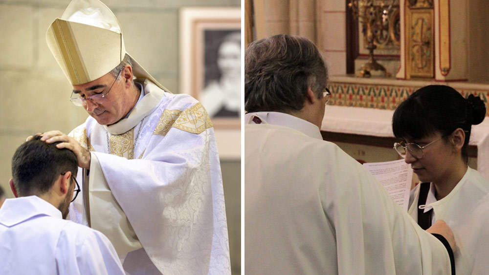 Les parcours vocation