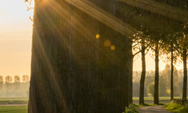 Rencontre, échange avec Mgr Percerou dans les zones paroissiales