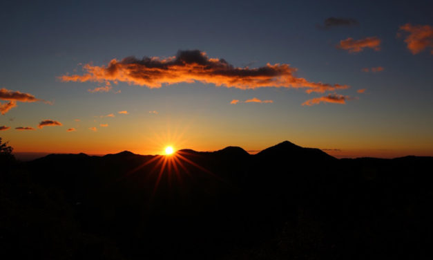 Éditorial de Mgr Laurent Percerou