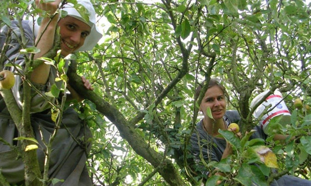 Retraites monastiques à Sainte-Cécile de Solesmes