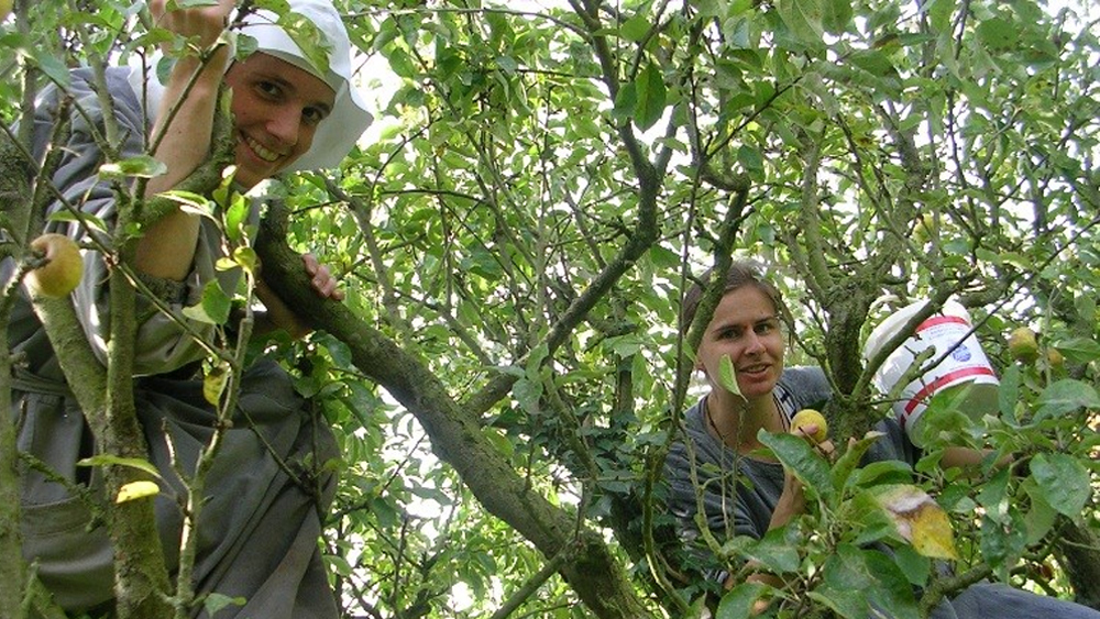 Retraites monastiques à Sainte-Cécile de Solesmes