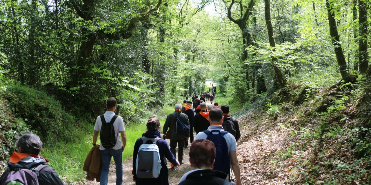 Pélé régional des vocations