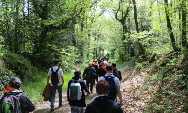 Pélé régional des vocations