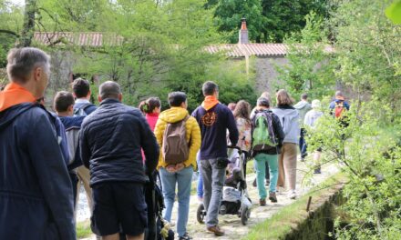 Pélé des vocations