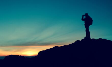 Accompagner, oui, mais pas n’importe comment !