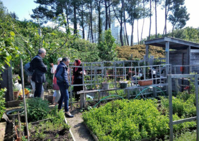 Dans les jardins familiaux du parc de la Savèze