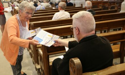 Démarche synodale diocésaine