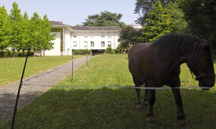 Des nouvelles du Bon Pasteur
