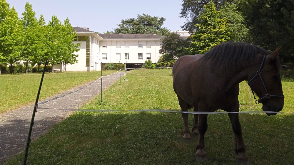 Des nouvelles du Bon Pasteur