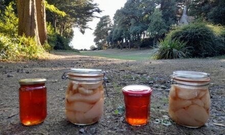 Quelques nouvelles de Monval