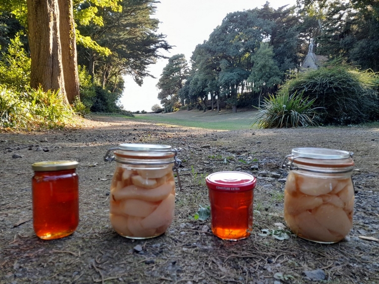 Quelques nouvelles de Monval