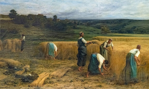 Éditorial de Mgr Laurent Percerou