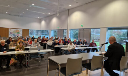 Matinée des pôles solidarité