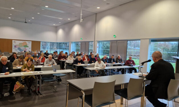 Matinée des pôles solidarité