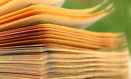 Éditorial de Mgr Laurent Percerou