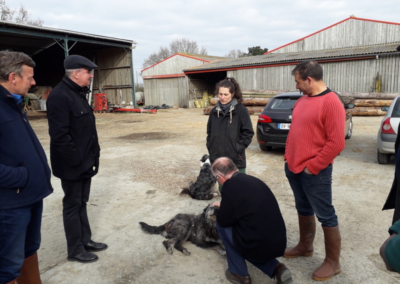 Exploitation laitière Bio à Plessé.