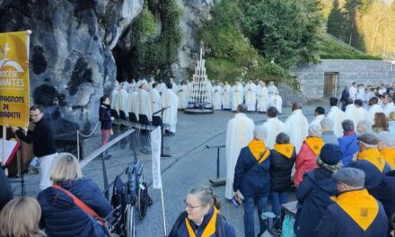 Pèlerinage diocésain à Lourdes