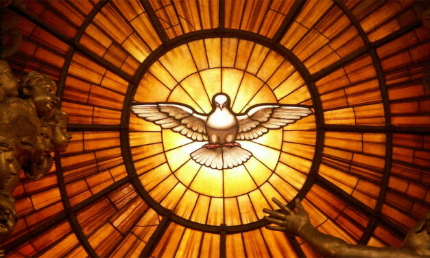 Éditorial de Mgr Laurent Percerou