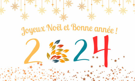 Joyeux Noël et bonne année